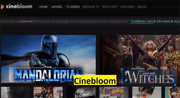 Cinebloom3