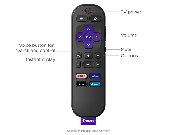 Voice Control Remote