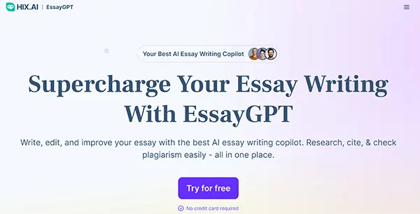 EssayGPT Overview